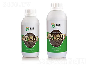 ����ֲ��ˮ�ܷ���-������-�|��