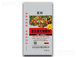 �������ͺ�΢�������-����