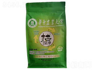 ֲ�������T����-����