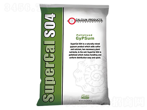 �����{�턩-�����-��������