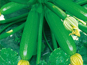 �߶˶���-�����J�N��-�߶˷N�I