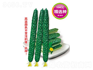 픃������߮a��-�S�ϷN��-�߶˷N�I