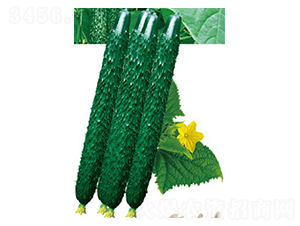 ���S58-�S�ϷN��-�߶˷N�I