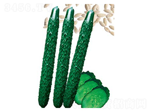 ����1988-�S�ϷN��-�߶˷N�I