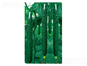 �����߮a��-�S�ϷN��-�߶˷N�I