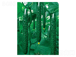 ���x����188-�S�ϷN��-�߶˷N�I