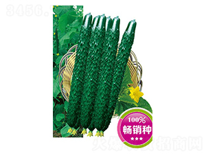 �G�S����106-�S�ϷN��-�߶˷N�I