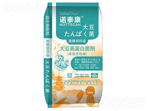 �󶹸ߵ��׾���-�Z̩��-���u�Z��