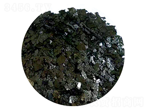 ��Ƭ��徫-�����S�r