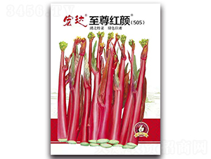 ����t�505-�ײ˷N��-���_