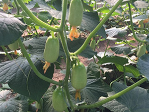 ��ͯ��ŮĴָ�S��-�S�ϷN��-�A�~�N�I