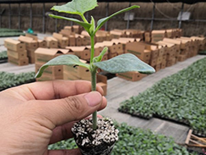 ʥ��89�S��-�S�ϷN��-�A�~�N�I