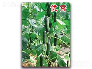 ����-С�S�ϷN��-�ϰľG��