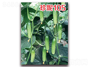 ����105-С�S�ϷN��-�ϰľG��