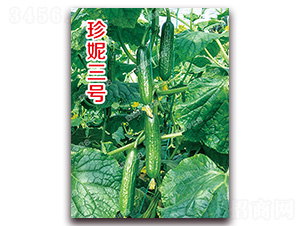 ������̖-С�S�ϷN��-�ϰľG��