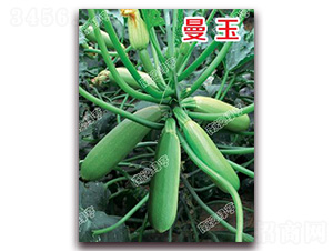 ����-�����J�N��-�ϰľG��