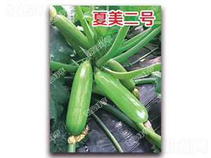 ������̖-�����J�N��-�ϰľG��