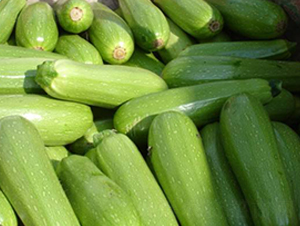 �����J�N��-Ӣ���m��