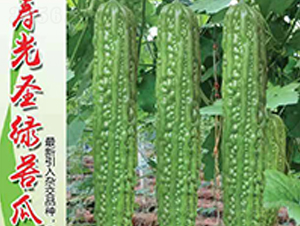 �۹�ʥ�G���-��ϷN��-Ӣ���m��