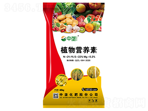 植物營養素-中壟