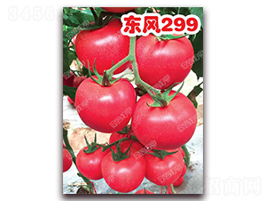 �|�L299-�۹����ѷN��-�ϰľG��