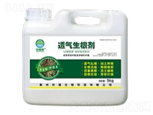 5kg͸��������-����Ȫ