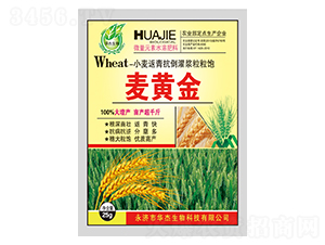 С�����࿹�����{�����-���S��-�A������