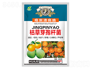 �ݲ�ѿ�ߗU��-��̿�����^-�A������