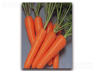 �t�S901-���}���N��-���r���v