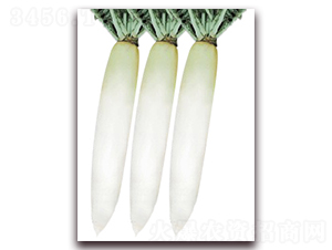 ����-����}���N��-���r���v