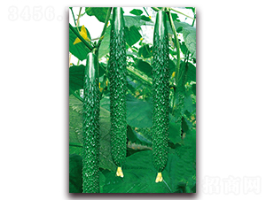 �n�ܶ�̖-�S�ϷN��-���r���v