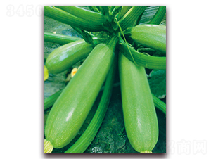 �������-�����J�N��-���r���v