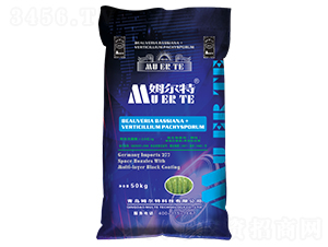 ��ʮ��С���������طN��-ķ����-���ݳ���