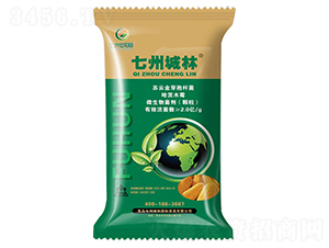 �����طN���x��-���ݳ���