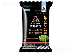 ��ʮ��С���������طN��-�R������-���ݳ���