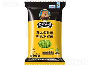 С���طN��-�W��֮��-���ݳ���