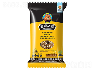 �������طN��-�W��֮��-���ݳ���