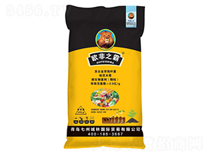 �����طN��-�W��֮��-���ݳ���