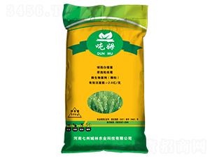 ��ʮ��С���������طN��-��ķ-���ݳ���