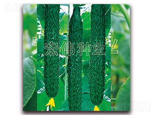 ���r��̖-�S�ϷN��-�ꂥ�N�I