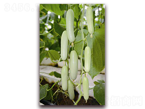 ������-�S�ϷN��-�ꂥ�N�I