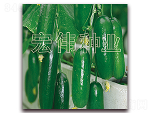 ���m��̖-�S�ϷN��-�ꂥ�N�I