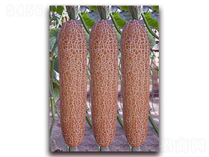 ���S��-�S�ϷN��-�ꂥ�N�I