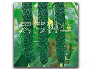 ���m36-�S�ϷN��-�ꂥ�N�I