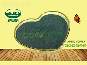 ȫˮ�ܰ����������~-��Ș�