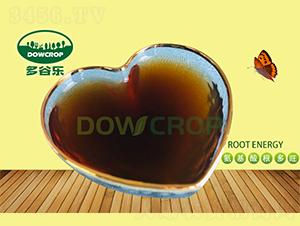 ���İ����������-��Ș�