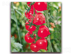 ����һ̖-�������t���N��-�ꂥ�N�I