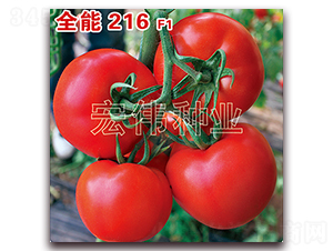 ȫ��216-�t�����t���N��-�ꂥ�N�I(y��)