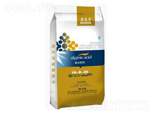 �ͺϷ���16-8-20-��������