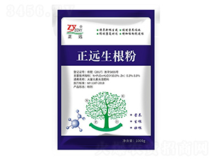 ������-���h